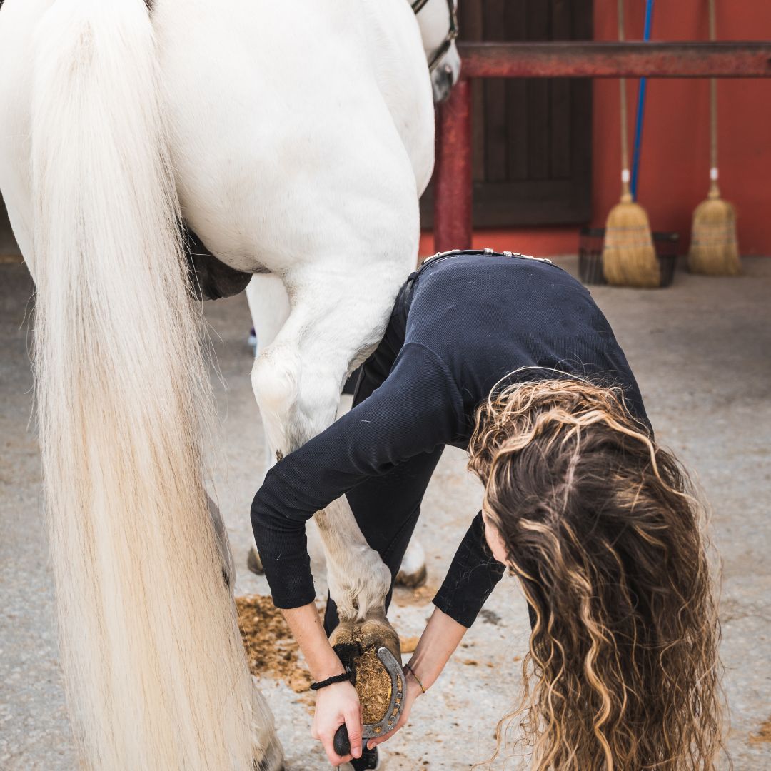 A woman cleaning the feet of a horse