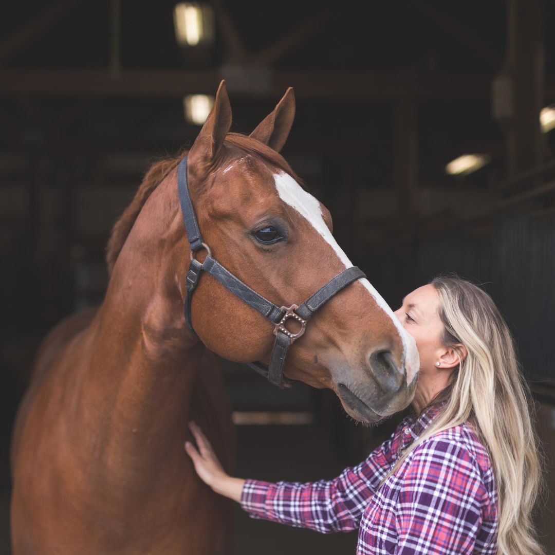 owner with horse