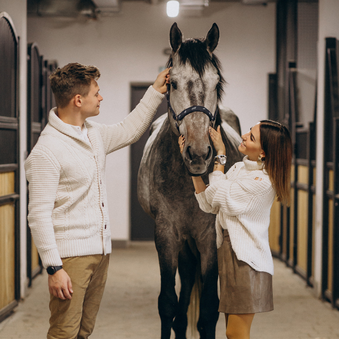 horse standing on the floor